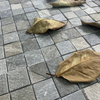 Mosaico de baldosas de piedra natural