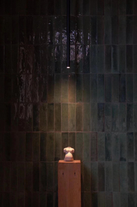 Hotel especializado (13)