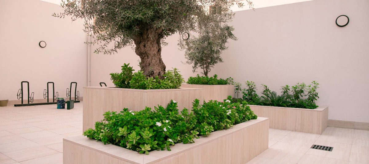 Tailandia-apartamento1