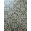 Azulejos estampados verdes de 248X248 mm-LS03