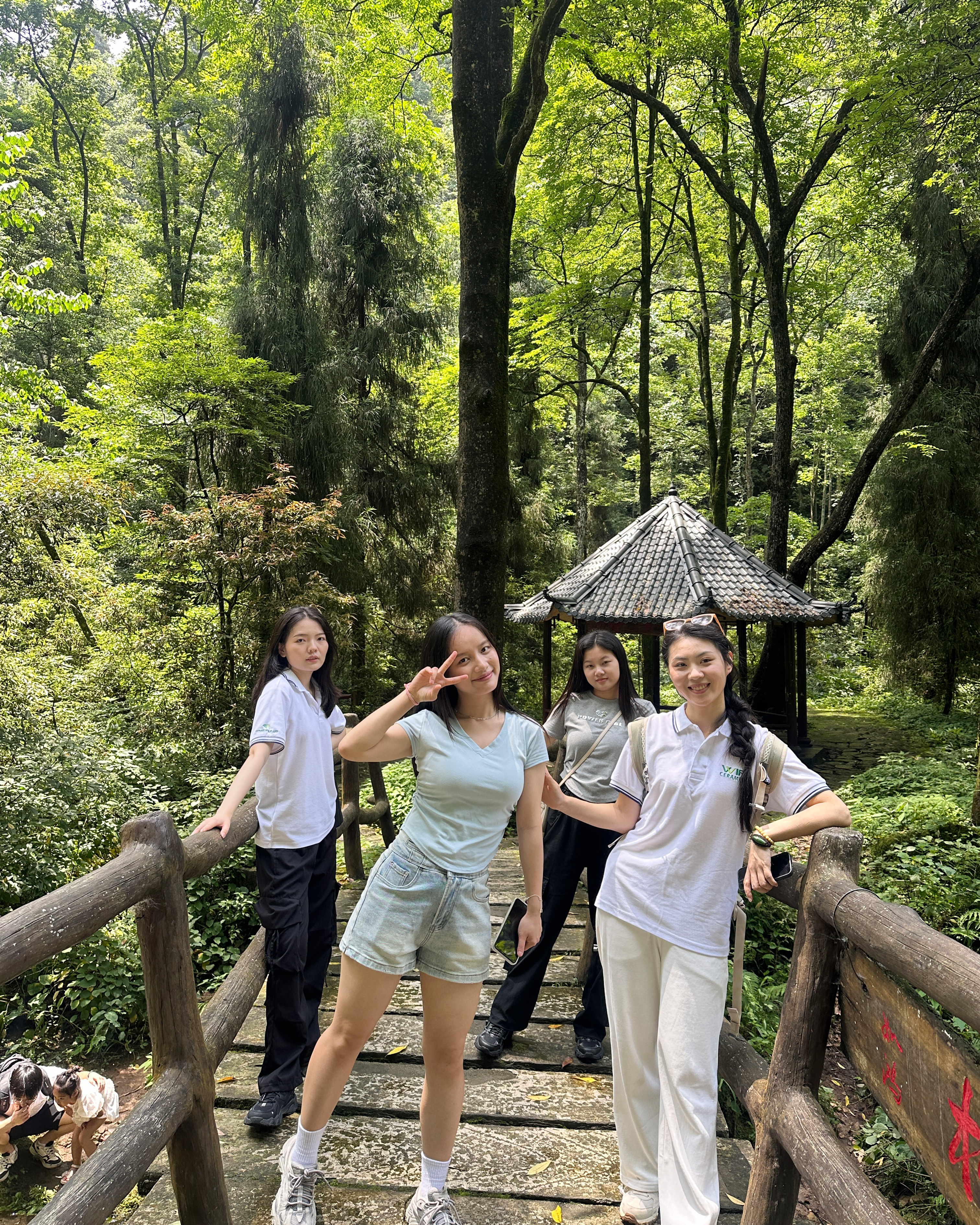 Equipo de equipo de cer&aacute;mica WiFi en el parque forestal nacional de Zhangjiajie