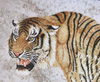 Artistas de arte mosaico