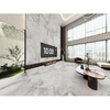 Smooth Shine Porcelana Tile-V157K902