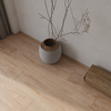 Matte superficie de madera de la madera -xm301821