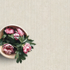 Mosa de porcelana de caliza natural para cenizas de piso y lima de pared