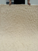 Chapa de piedra cultivada