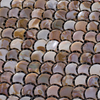 Mosaico de escala de peces