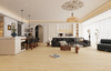 Efecto de madera único Tileporcelain Tile-F212P1