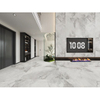 Smooth Shine Porcelana Tile-V157K902
