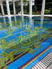 Arte de mosaico en venta