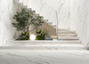 Louiskin Fullbody SINTERED Stone