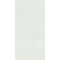 CTE61291