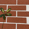 Revestimiento de mosaico de textura natural