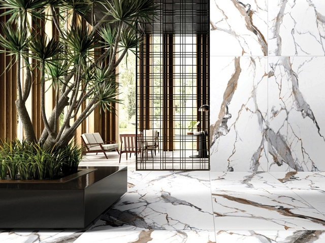 Porcelana de cuerpo completo: perfecto para áreas de alto tráfico