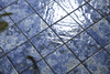 Mosaico de piscina - Nova azul