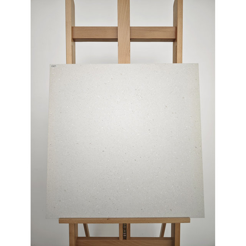 Azulejo de porcelana de cuerpo completo de fresno-C621